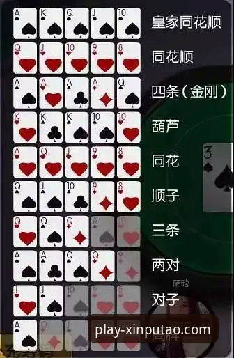 新葡萄娱乐手机版详解：棋牌玩法与竞技模式深度介绍